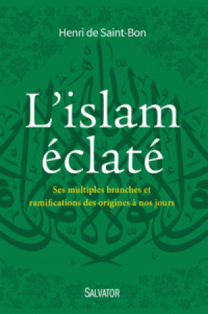 L’islam éclaté: Ses multiples branches et ramifications des origines à nos jours
