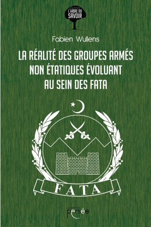 La réalité des groupes armés non étatiques évoluant au sein des FATA