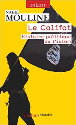 Le califat : histoire politique de l'islam